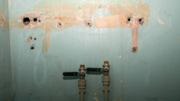 Water damage restoration mold remediation in LA