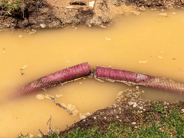 Best Local water damage restoration  in St Gabriel, LA