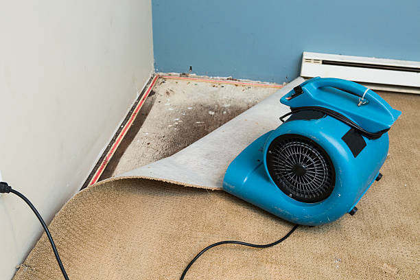 Best Water damage restoration process  in St Gabriel, LA